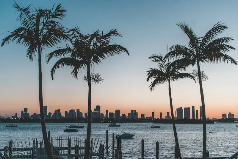 Miami skyline and palm trees over Biscayne Bay at sunset — South Florida